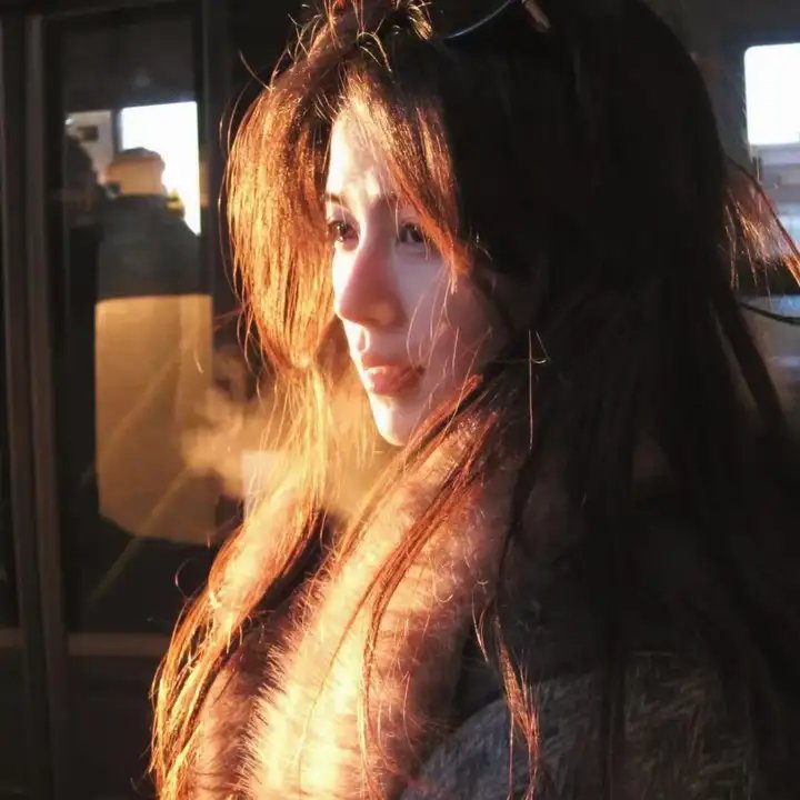 藏春洞 海报