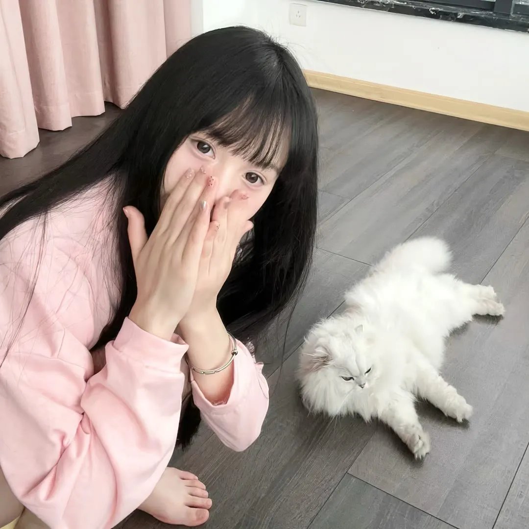 猴子 海报
